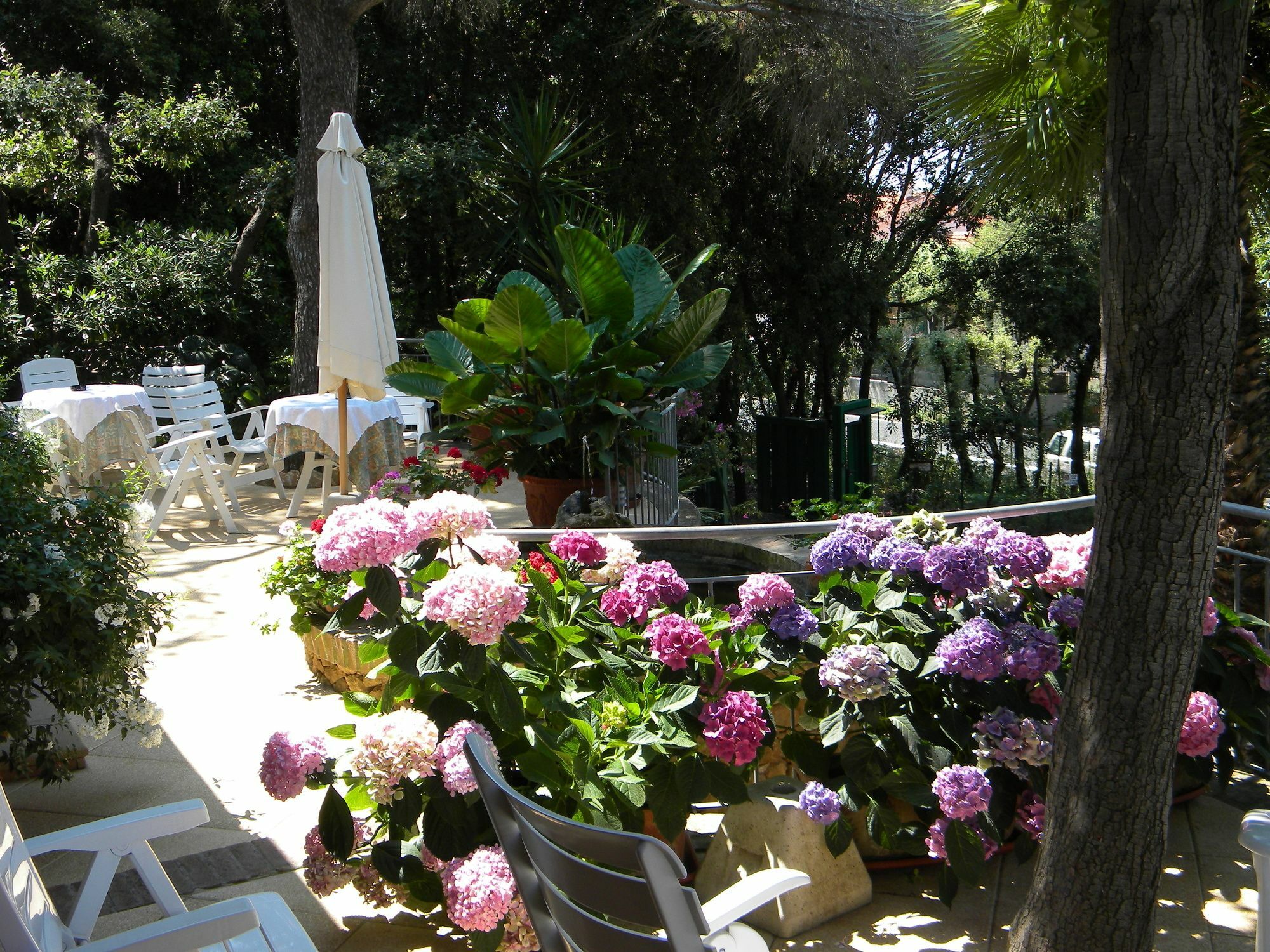 Hotel La Rosa Del Tirreno 리보르노 외부 사진
